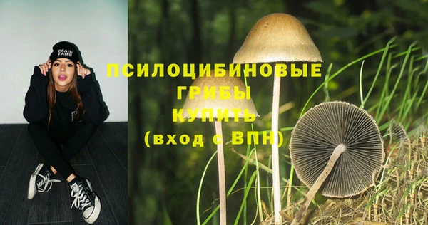 ПСИЛОЦИБИНОВЫЕ ГРИБЫ Верхний Тагил