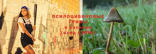 ПСИЛОЦИБИНОВЫЕ ГРИБЫ Верхний Тагил