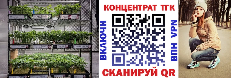 ТГК гашишное масло  сайты даркнета как зайти  Десногорск  купить закладку 
