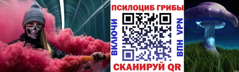 это формула  купить   Десногорск  Псилоцибиновые грибы Cubensis 